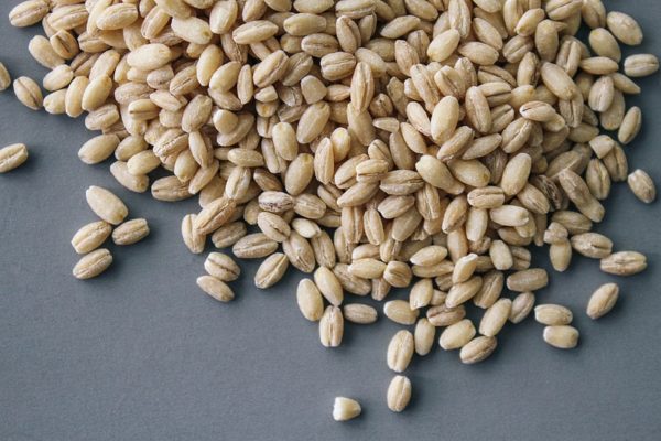 orzo 3